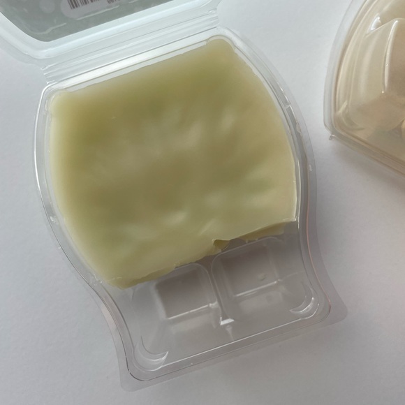 Scentsy used aloe water and cucumber, pumpkin roll, happy birthday, cedar cider - Picture 3 of 14